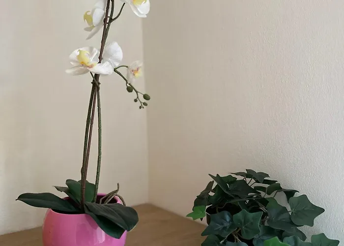 Apartament Molinari House Giada - Free Ztl Modena